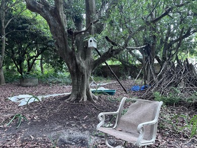 Versatile Land with Income Potential - Lychee, star fruit - photo 4