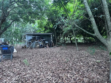 Versatile Land with Income Potential - Lychee, star fruit - photo 5