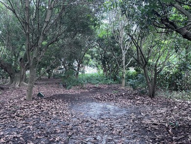 Versatile Land with Income Potential - Lychee, star fruit - photo 6