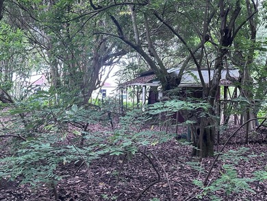 Versatile Land with Income Potential - Lychee, star fruit - photo 8