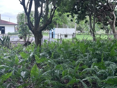 Versatile Land with Income Potential - Lychee, star fruit - photo 10