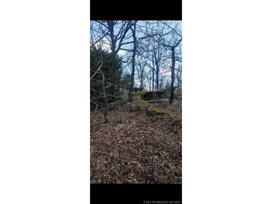 Heavily treed, some open spaces, less than 1 miles to the lake - photo 7