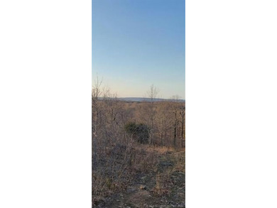 Heavily treed, some open spaces, less than 1 miles to the lake - photo 8