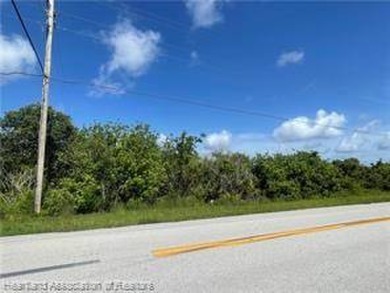 Lake Lot For Sale in Lake Placid, Florida