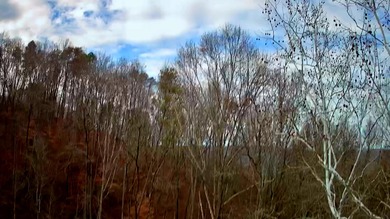 Chickamauga Lake Lot For Sale in Soddy Daisy Tennessee