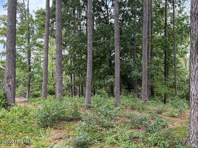 Yeopim River / Bethel Creek  Lot For Sale in Hertford North Carolina