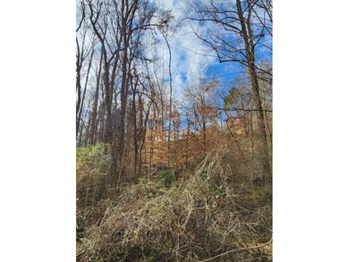 Chickamauga Lake Lot For Sale in Soddy Daisy Tennessee