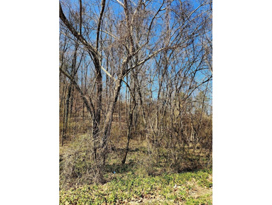 Chickamauga Lake Lot For Sale in Soddy Daisy Tennessee