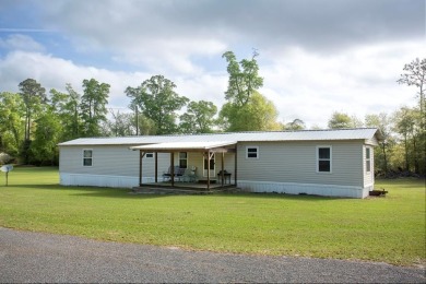 Lake Home For Sale in Georgetown, Georgia