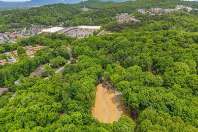Build your dream home on this rare 1.6+ acre, golf-front lot - photo 5