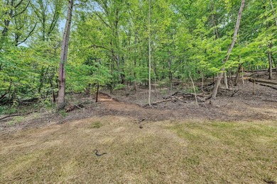 Build your dream home on this rare 1.6+ acre, golf-front lot - photo 9