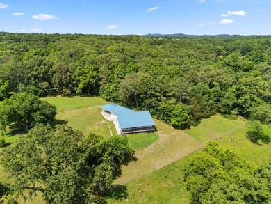 Beautiful new construction home on 8.92 surveyed acres just - photo 33