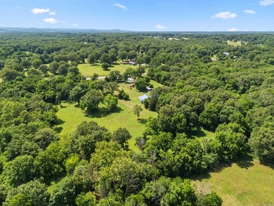 Beautiful new construction home on 8.92 surveyed acres just - photo 37