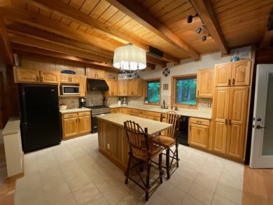 Raccoon Lake, Log Cabin, Lake Access - photo 7