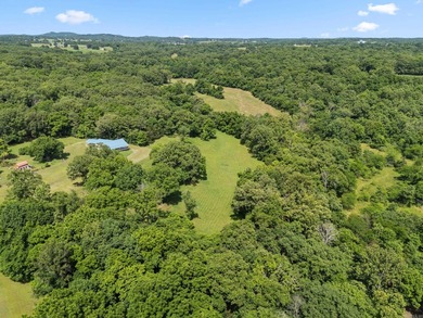 Beautiful new construction home on 8.92 surveyed acres just - photo 40