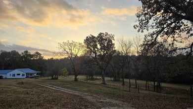 Beautiful new construction home on 8.92 surveyed acres just - photo 43