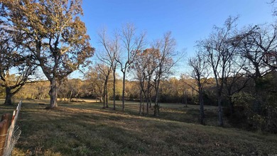 Beautiful new construction home on 8.92 surveyed acres just - photo 44