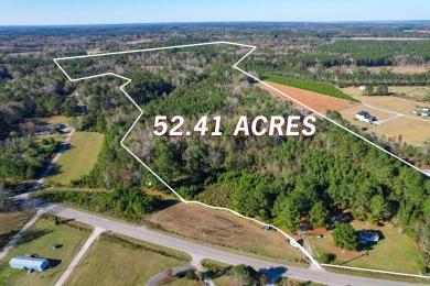 Lake Marion Acreage For Sale in Vance South Carolina