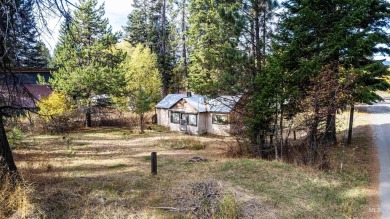 Lake Home For Sale in Mccall, Idaho