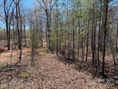 (private lake, pond, coastal) Lot For Sale in Mooresboro North Carolina