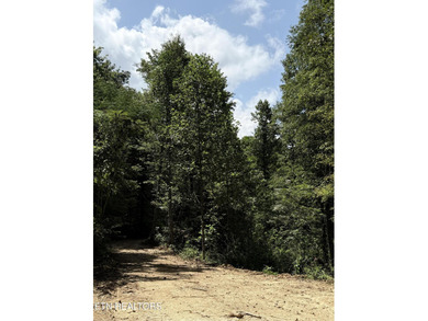 (private lake, pond, creek) Acreage For Sale in Lafollette Tennessee