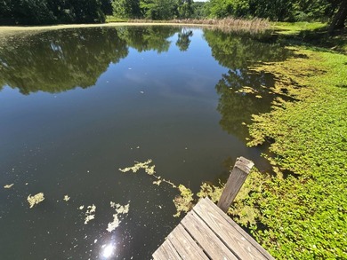 Premier 340+/- Acre Recreational Estate with Luxury Home - photo 45