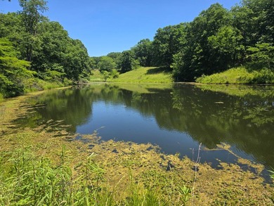 Premier 340+/- Acre Recreational Estate with Luxury Home - photo 50