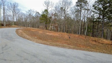 Lake Acreage For Sale in Talking Rock, Georgia