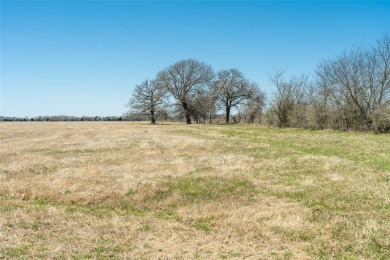 (private lake, pond, creek) Acreage For Sale in Kemp Texas
