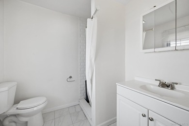 Located in the Village of Patchogue - Well Maintained 4 Bedroom - photo 14