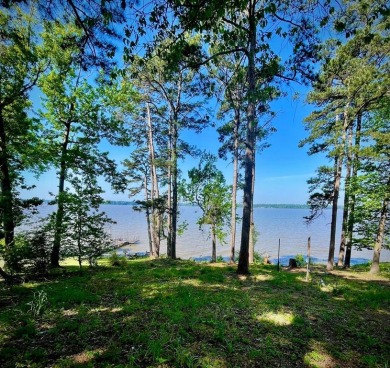 Lake Lot For Sale in Georgetown, Georgia