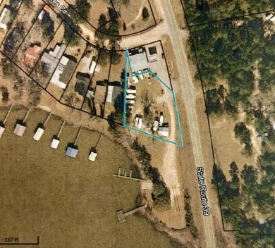 Lake Lot For Sale in Fort Gaines, Georgia