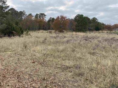 Holly Lake Ranch / Lake Greenbriar Lot For Sale in Holly Lake Ranch Texas