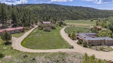Lake Home For Sale in Hesperus, Colorado