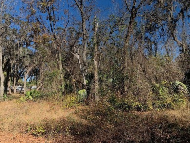 Lake Lot For Sale in Hawthorne, Florida