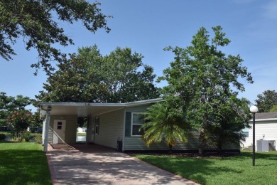Lake Home For Sale in Ormond Beach, Florida