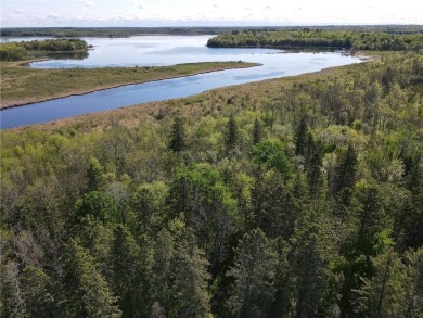 Lake Acreage For Sale in Gail Lake Twp, Minnesota