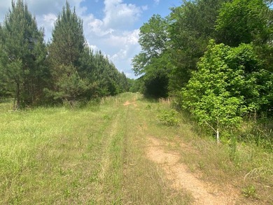 Uncover the extraordinary with this 240-acre premier tract - photo 11