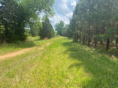 Uncover the extraordinary with this 240-acre premier tract - photo 12
