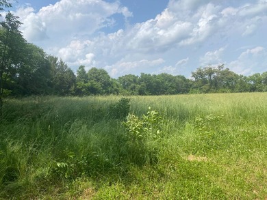 Uncover the extraordinary with this 240-acre premier tract - photo 14