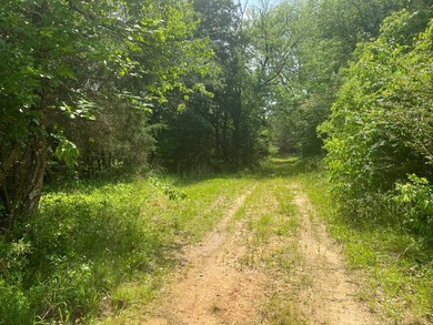 Uncover the extraordinary with this 240-acre premier tract - photo 15