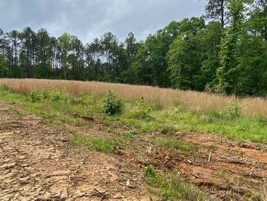 Uncover the extraordinary with this 240-acre premier tract - photo 16