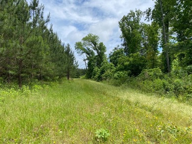 Uncover the extraordinary with this 240-acre premier tract - photo 17