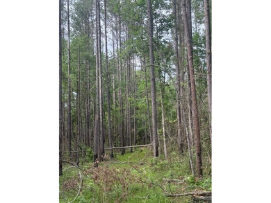 Lake Eufaula / Walter F. George Acreage For Sale in Georgetown Georgia