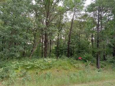 This Lake Arrowhead Lake Access property is the ideal location - photo 2