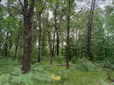 This Lake Arrowhead Lake Access property is the ideal location - photo 3