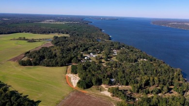 Lake Lot For Sale in Eufaula, Alabama