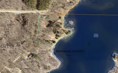 Lake Acreage For Sale in Walker, Minnesota