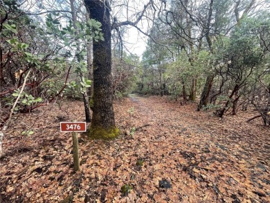 (private lake, pond, creek) Acreage For Sale in Upper Lake California