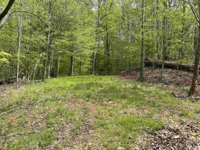 (private lake, pond, creek) Lot For Sale in Eddyville Kentucky